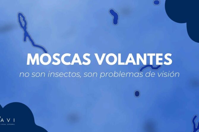 Moscas volantes: ¿cuándo son normales y cuándo no? 